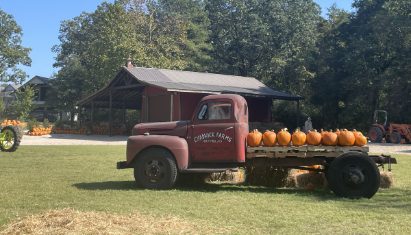 New pumpkin patch "Chadwick Farms" opens in Oxford